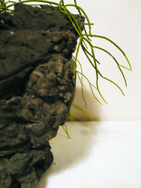 ロック鉢2