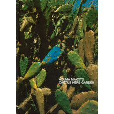 CACTUS HERB GARDEN