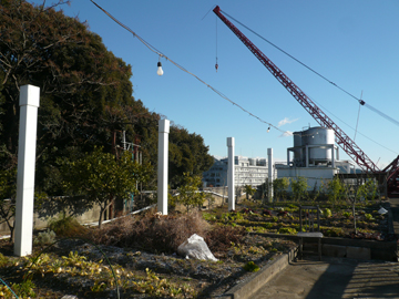 沢田・屋上菜園