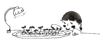 407.gif