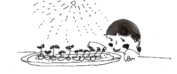 408.gif